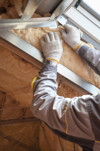 Best Types of Insulation in Casa Blanca, AZ